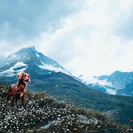 Hapimag Ferienwohnungen Zell Am See Zewnętrze zdjęcie
